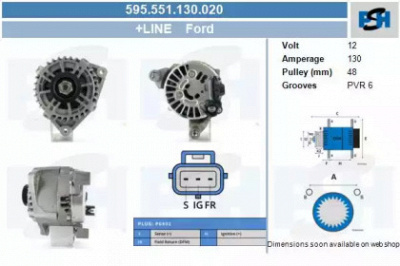 CV PSH 595551130020 -  